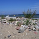 ostsee10