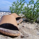 ostsee8