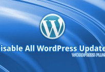 Disable All WordPress Updates